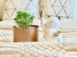 EHL-233886 ขายคอนโดอินโทร พหล-ประดิพัทธ์