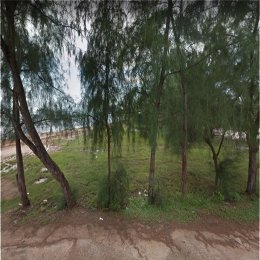 ที่ดินติดทะเล32-3-14ไร่ หาดส่วนตัวกว้าง200ม. Land next to the sea 32-3-14 rai Private beach 200 meters wide ID - 192204