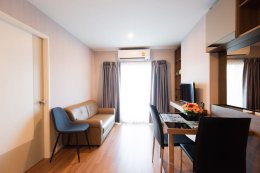 The Selected Kaset - Ngamwongwan by L.P.N. (เดอะ ซีเล็คเต็ด เกษตร-งามวงศ์วาน บาย แอล.พี.เอ็น.) ID - 202786