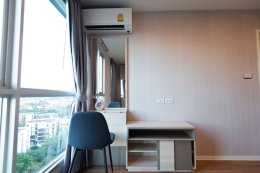 The Selected Kaset - Ngamwongwan by L.P.N. (เดอะ ซีเล็คเต็ด เกษตร-งามวงศ์วาน บาย แอล.พี.เอ็น.) ID - 202786