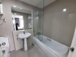 The Waterford Diamond (เดอะ วอเตอร์ฟอร์ด ไดมอน) ID - 202787