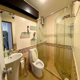 The Waterford Sukhumvit 50 (เดอะ วอเตอร์ฟอร์ด สุขุมวิท 50) ID -202717