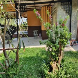 ขายบ้านสวนหลังเล็ก ID - 202662