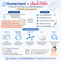 มอยเจอร์ไรเซอร์คืออะไร เลือกตัวไหนดี บทความโดยเภสัชกร