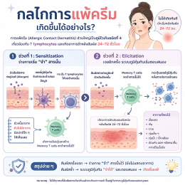 กลไกการแพ้ครีม การแพ้ครีมเกิดขึ้นได้อย่างไร ใช้ครีมแล้วแสบหน้า อาจไม่ใช่การแพ้