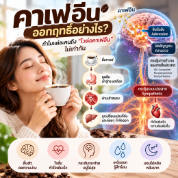 คาเฟอีนออกฤทธิ์อย่างไร? ตั้งแต่จิบกาแฟจนทำให้ใจสั่น กระสับกระส่าย และนอนไม่หลับ