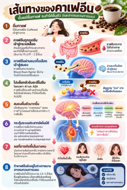กลไกการออกฤทธิ์คาเฟอีน