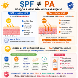SPF คืออะไร  ยิ่งสูงยิ่งดีจริงหรือ เรามีคำตอบ