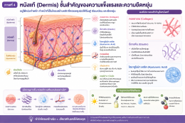 โครงสร้างผิวหนัง บทความโดยเภสัชกร