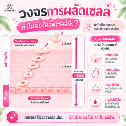 ทำไมต้องผลัดเซลล์ผิว วิธีผลัดเซลล์ผิวที่ถูกต้อง วิธีเลือกผลิตภัณฑ์ผลัดเซลล์ผิว