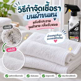 ผ้าขนหนูขึ้นรา ลองมาครบทุกวิธี ไม่ได้ผล แล้วก็เจอวิธีนี้โดยบังเอิญ ก่อนทำตาม อ่านก่อนนะ