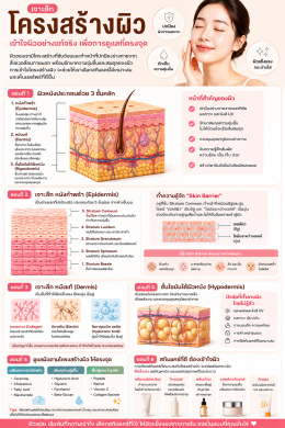 โครงสร้างผิวหนัง บทความโดยเภสัชกร