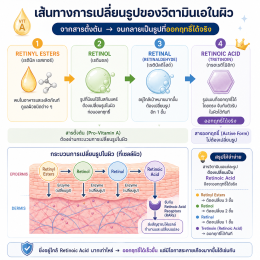 Retin-A, Retinol และกรดวิตามินเอ ต่างกันอย่างไร? ใช้รักษาสิว-ลดริ้วรอย