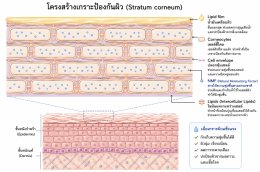 ผิวขาดน้ำ ผิวมันขาดน้ำ คืออะไร เกิดจากอะไร แก้ไขอย่างไรดี