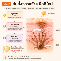 วิตามินซีทำงานอย่างไร? 