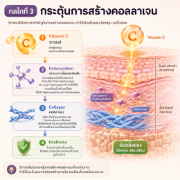 วิตามินซีทำงานอย่างไร? 