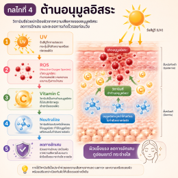 วิตามินซีทำงานอย่างไร? 