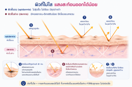 ครีมหน้าขาว  ครีมหน้าใส ครีมลดฝ้ากระ ต่างกันยังไง บทความโดยเภสัชกร Ep.2