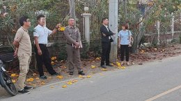 ร่วมตรวจสอบข้อเท็จจริง ตรวจสอบวัดกลิ่นเพื่อวินิจฉัยเหตุรำคาญ (กลิ่นกัญชา)