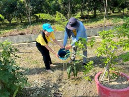 จัดกิจกรรม"วันต้นไม้ประจำปีของชาติ พ.ศ. 2567