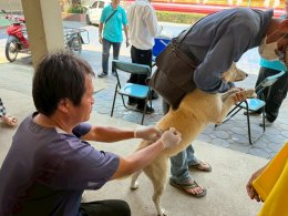 เข้าร่วมโครงการ สัตว์ปลอดโรคคนปลอดภัย จากโรคพิษสุนัขบ้า 
