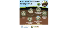 การฟื้นฟูและอนุรักษ์ทรัพยากรดิน เนื่องในโอกาสครบรอบ 1 ปี การประกาศเจตนารมณ์ขับเคลื่อนประเทศไทยที่ยั่งยืน