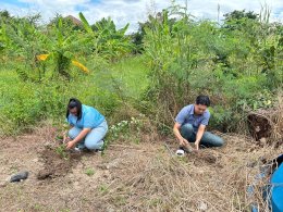 จัดกิจกรรมปลูกต้นไม้