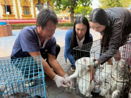 เข้าร่วมโครงการ สัตว์ปลอดโรคคนปลอดภัย จากโรคพิษสุนัขบ้า 