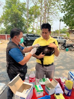 กิจกรรมตามโครงการสัตว์ปลอดโรค​ คนปลอดภัย จากพิษสุนัขบ้า​ (ตามพระปณิธาน ศ.ดร.สมเด็จพระเจ้าลูกเธอ เจ้าฟ้าจุฬาภรณวลัยลักษณ์ อัครราชกุมารี) ประจำปีงบประมาณ​ 2567