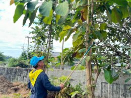 จัด"กิจกรรมปรับปรุงภูมิทัศน์ ตัดกิ่งไม้ที่บดบังทัศนะวิสัย จุดเสี่ยงอุบัติเหตุ ในเขตพื้นที่เทศบาลตำบลท่าเชียงทอง" ภายใต้การดำเนินโครงการเสริมสร้างศักยภาพชุมชนท้องถิ่น สร้างชีวิตวิถีใหม่ สู่อำเภอขับขี่ปลอดภัย