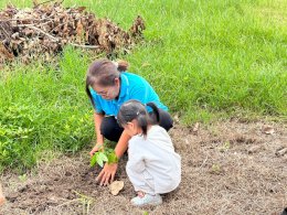 จัดกิจกรรมปลูกต้นไม้