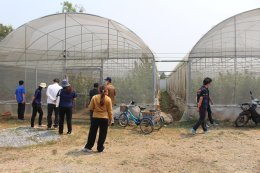 ลงพื้นที่ให้คำแนะนำและแนวทางการดำเนินการเกี่ยวกับการบริหารจัดการการปลูกกัญชาของโรงปลูกกัญชาในพื้นที่เทศบาลตำบลท่าเชียงทอง