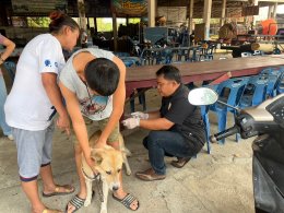 การจัดกิจกรรมตามโครงการสัตว์ปลอดโรค​ คนปลอดภัย จากพิษสุนัขบ้า​ (ตามพระปณิธาน ศ.ดร.สมเด็จพระเจ้าลูกเธอ เจ้าฟ้าจุฬาภรณวลัยลักษณ์ อัครราชกุมารี) ประจำปีงบประมาณ​ 2567