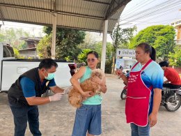 กิจกรรมตามโครงการสัตว์ปลอดโรค​ คนปลอดภัย จากพิษสุนัขบ้า​ (ตามพระปณิธาน ศ.ดร.สมเด็จพระเจ้าลูกเธอ เจ้าฟ้าจุฬาภรณวลัยลักษณ์ อัครราชกุมารี) ประจำปีงบประมาณ​ 2567