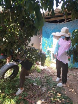 โครงการปรับสภาพแวดล้อมและสิ่งอำนวยของผู้สูงอายุให้เหมาะสมและปลอดภัย พ.ศ.2566 หมู่ที่ 9 แม่ทาหลง-ท่าศาลา