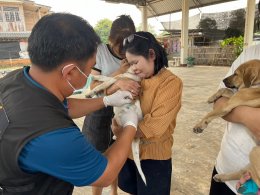 กิจกรรมตามโครงการสัตว์ปลอดโรค​ คนปลอดภัย จากพิษสุนัขบ้า​ (ตามพระปณิธาน ศ.ดร.สมเด็จพระเจ้าลูกเธอ เจ้าฟ้าจุฬาภรณวลัยลักษณ์ อัครราชกุมารี) ประจำปีงบประมาณ​ 2567