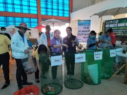 ร่วมกิจกรรม มหกรรมสร้างสุขภาพ "รวมพล อสพ. คนรักษ์สุขภาพ" วัน อสม.แห่งชาติ