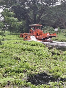 ประชุมคณะทำงานเพื่อปฏิบัติการแก้ไขปัญหาผักตบชวาในแม่น้ำกวง ครั้งที่ 12567