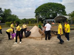 กิจกรรมจิตอาสาพัฒนาทำความสะอาด ปลูกต้นไม้ ปรับปรุงภูมิทัศน์บริเวณรอบสำนักงานเทศบาลตำบลท่าเชียงทอง เนื่องในวัน "สิ่งแวดล้อมไทย" ประจำปี 2566