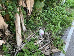 ลงพื้นที่ตรวจสอบการทิ้งขยะในที่สาธารณะ