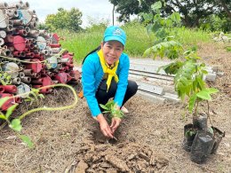 จัดกิจกรรมปลูกต้นไม้