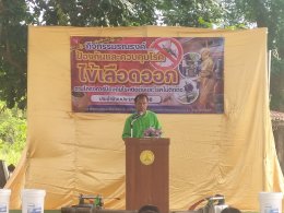 เข้าร่วมกิจกรรมรณรงค์ป้องกันและควบคุมโรคไข้เลือดออก ตามโครงการป้องกันโรคติดต่อและไม่ติดต่อ ประจำปีงบประมาณ พ.ศ. 2567