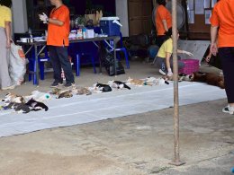 ร่วมเป็นเกียรติในพิธีเปิดและร่วมกิจกรรมตามโครงการวันป้องกันโรคพิษสุนัขบ้าโลก ปี พ.ศ 2568