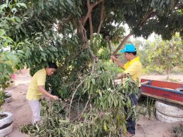 จัดกิจกรรม Big cleaning day เนื่องในวันคล้ายวันประสูติ สมเด็จพระเจ้าลูกยาเธอ เจ้าฟ้าทีปังกรรัศมีโชติ มหาวชิโรตตมางกูร สิริวิบูลยราชกุมาร