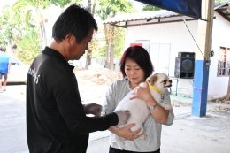 ออกให้บริการฉีดวัคซีนป้องกันโรคพิษสุนัขบ้า ให้กับสุนัขและแมว ณ บ้านป่าซางน้อย - หัวฝายหมู่ที่ 1 และ บ้านแม่ทาหลง - ท่าศาลา หมู่ที่ 9