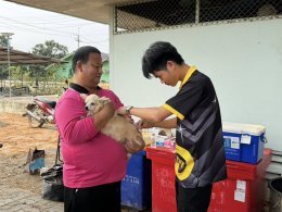 ออกให้บริการฉีดวัคซีนป้องกันโรคพิษสุนัขบ้า ให้กับสุนัขและแมว ณ บ้านป่าซางน้อย - หัวฝายหมู่ที่ 1 และ บ้านแม่ทาหลง - ท่าศาลา หมู่ที่ 9