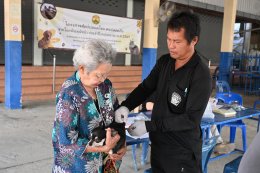 ออกให้บริการฉีดวัคซีนป้องกันโรคพิษสุนัขบ้า ให้กับสุนัขและแมว ณ บ้านป่าซางน้อย - หัวฝายหมู่ที่ 1 และ บ้านแม่ทาหลง - ท่าศาลา หมู่ที่ 9