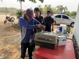 ออกให้บริการฉีดวัคซีนป้องกันโรคพิษสุนัขบ้า ให้กับสุนัขและแมว ณ บ้านป่าซางน้อย - หัวฝายหมู่ที่ 1 และ บ้านแม่ทาหลง - ท่าศาลา หมู่ที่ 9