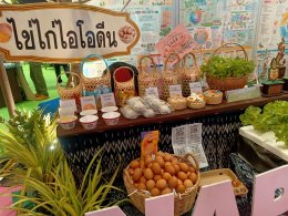 เข้าร่วมกิจกรรมเวทีสานพลัง สร้างนวัตกรรม สู่สุขภาวะชุมชนที่ยั่งยืน ปี 2567ข้าร่วมกิจกรรมเวทีสานพลัง สร้างนวัตกรรม สู่สุขภาวะชุมชนที่ยั่งยืน ปี 2567