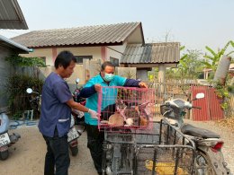 เข้าร่วมโครงการ สัตว์ปลอดโรคคนปลอดภัย จากโรคพิษสุนัขบ้า 